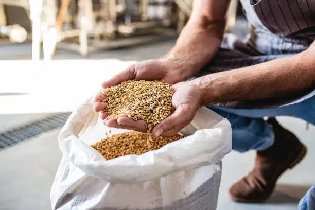 Curso de Elaboración de Cerveza Artesanal - Imagen 3