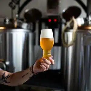 Curso de Elaboración de Cerveza Artesanal