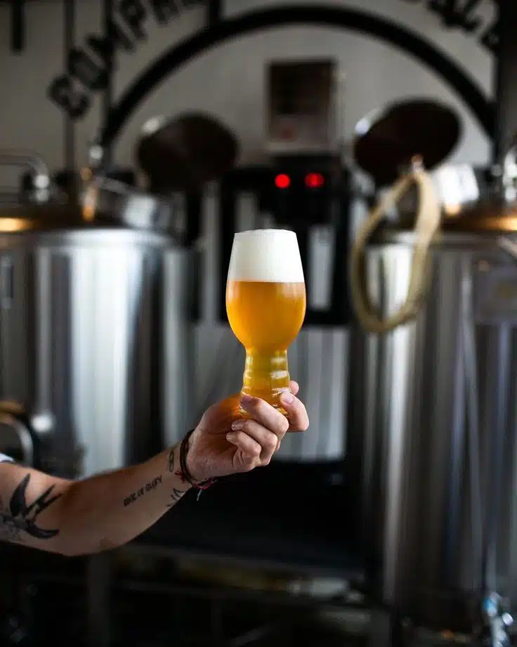 Curso de Elaboración de Cerveza Artesanal