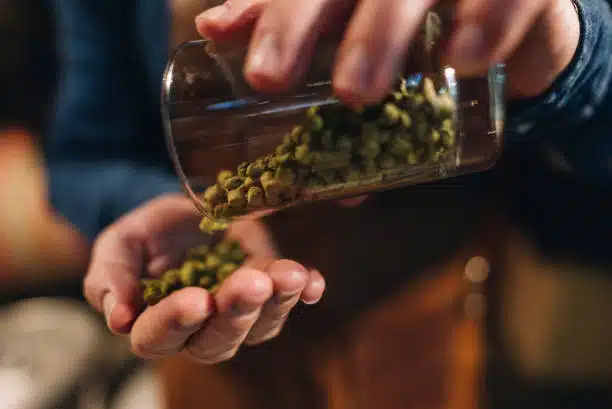 Curso de Elaboración de Cerveza Artesanal - Imagen 2